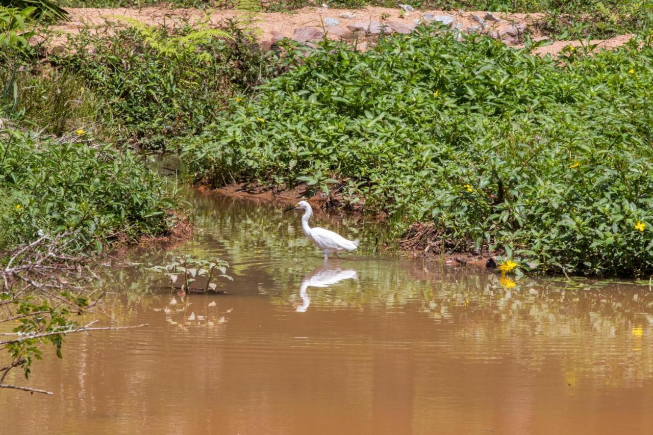 Villaggio Serra Da Cantareira Mairipora Bagian luar foto